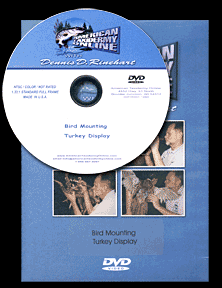 American Taxidermy Bird Mounting - Turkey DVD Package