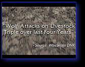 Wolf Population control TV commercial
