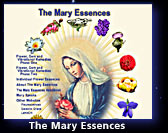 The Mary Essences